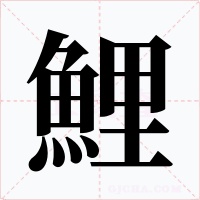 鯉