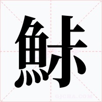 鮛