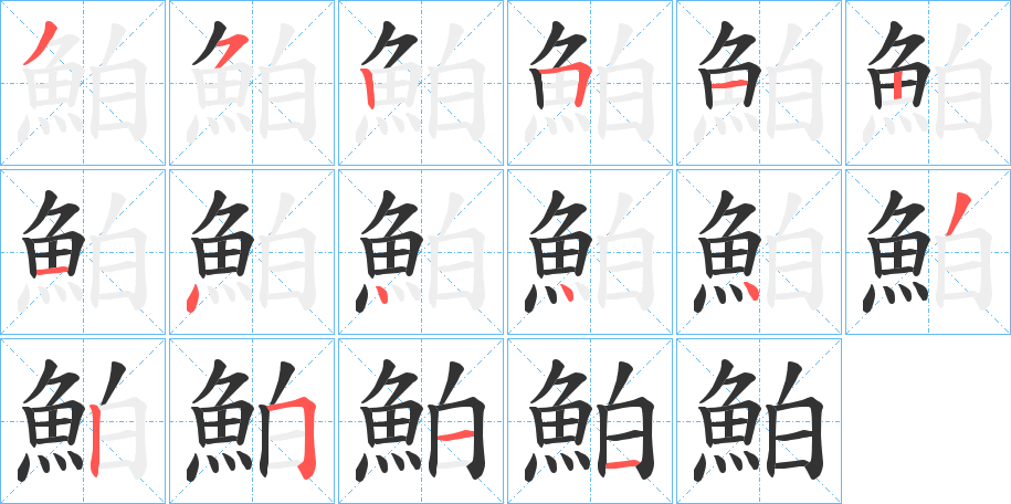 鮊的笔顺写法