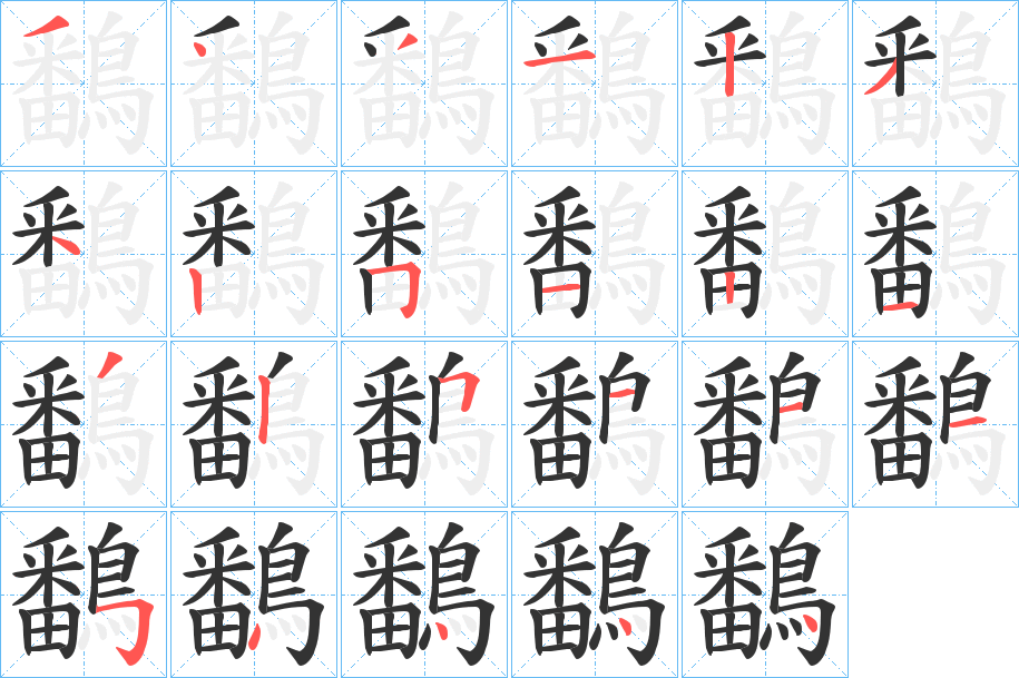 鷭的笔顺写法