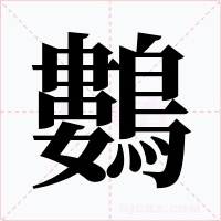 鷜