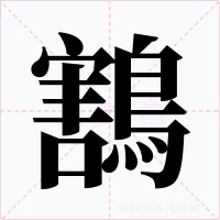 鶷