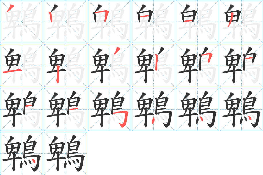 鵯的笔顺写法