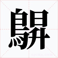 鵿