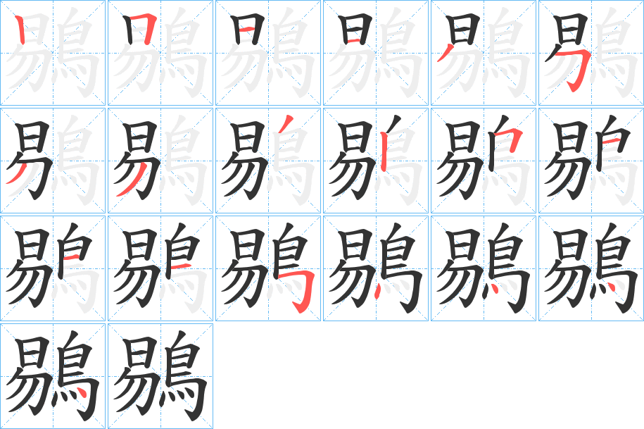 鶍的笔顺写法