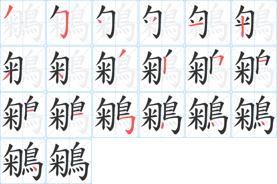 鵴的笔顺写法