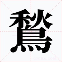 鶖