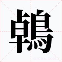 鵫