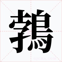 鵓