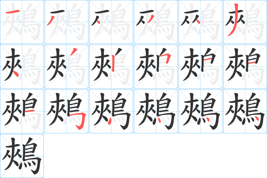 鵊的笔顺写法