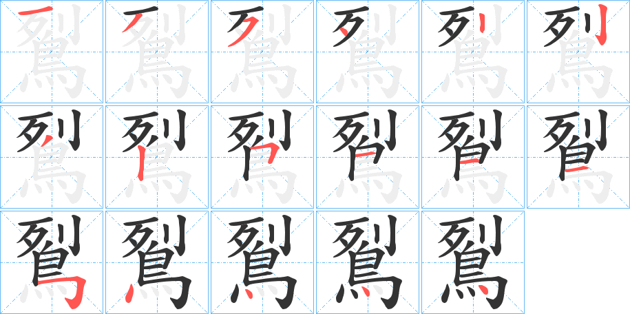 鴷的笔顺写法