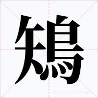 鴙