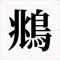鴵