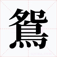 鴛