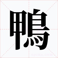 鴨