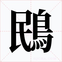 鴖