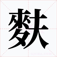 麩