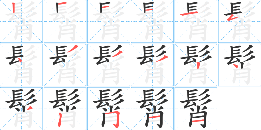 髾的笔顺写法
