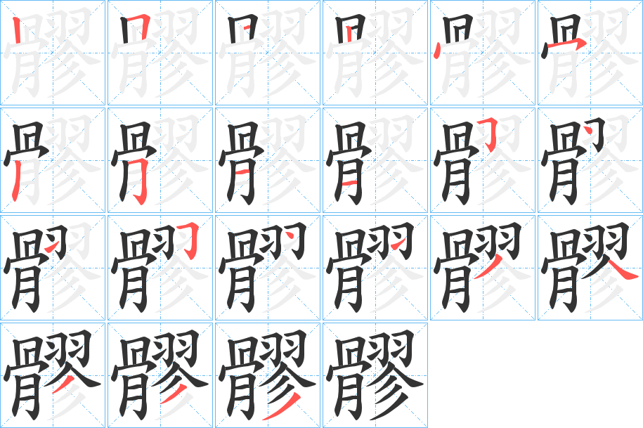 髎的笔顺写法