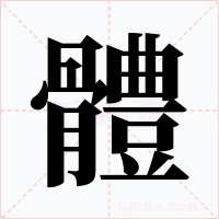 體