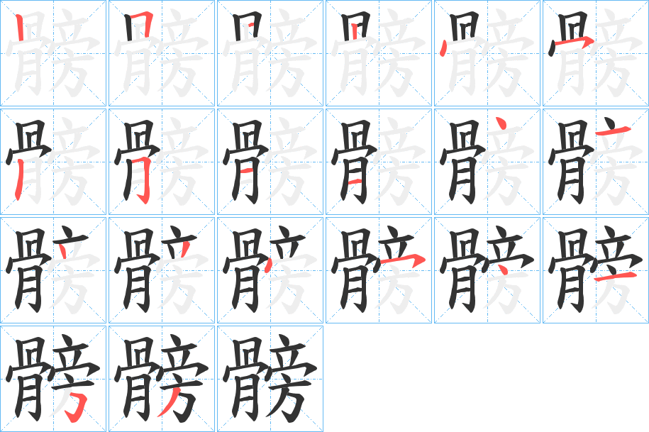 髈的笔顺写法