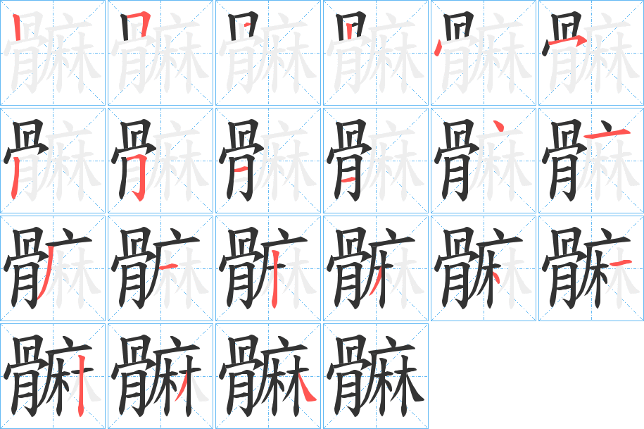 髍的笔顺写法