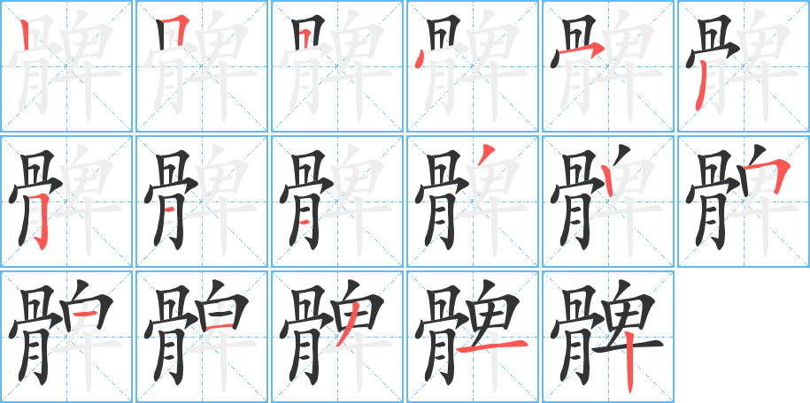 髀的笔顺写法