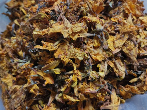 闹羊花