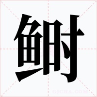 鲥