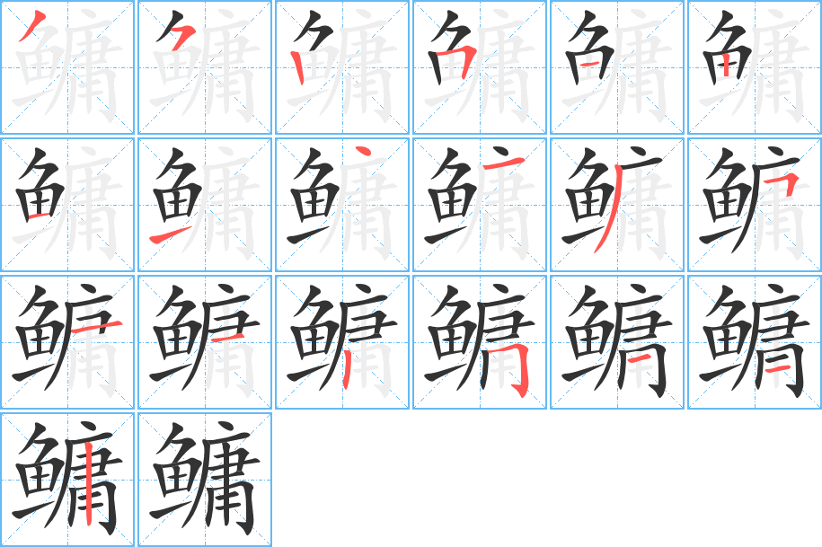 鳙的笔顺写法