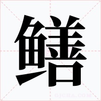 鳝