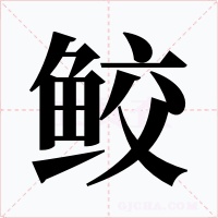 鲛