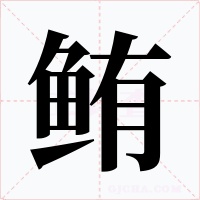 鲔