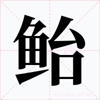 鲐