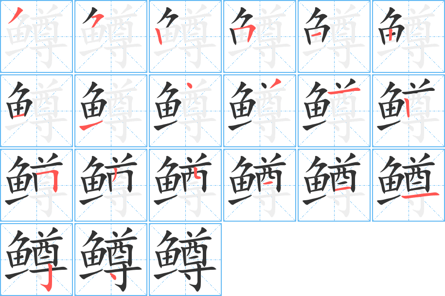 鳟的笔顺写法