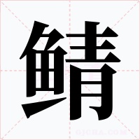 鲭