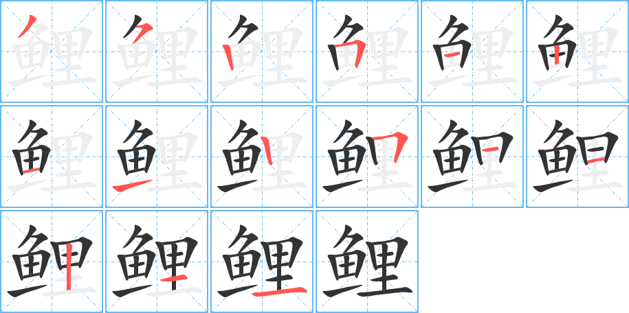 鲤的笔顺写法