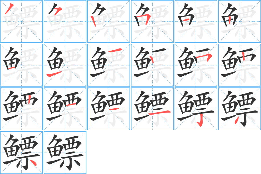 鳔的笔顺写法