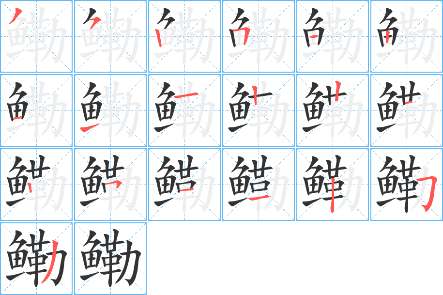 鳓的笔顺写法