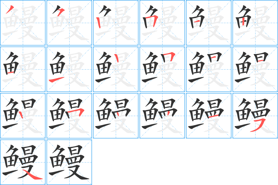 鳗的笔顺写法