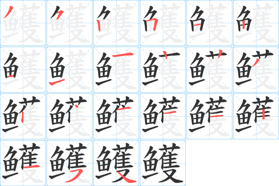 鳠的笔顺写法