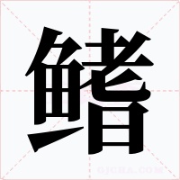 鳍