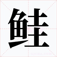 鲑
