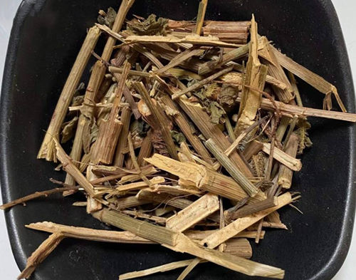 白花丹