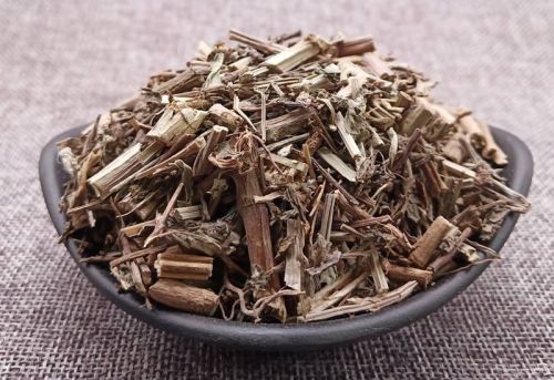 马鞭草