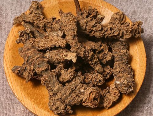 缬草